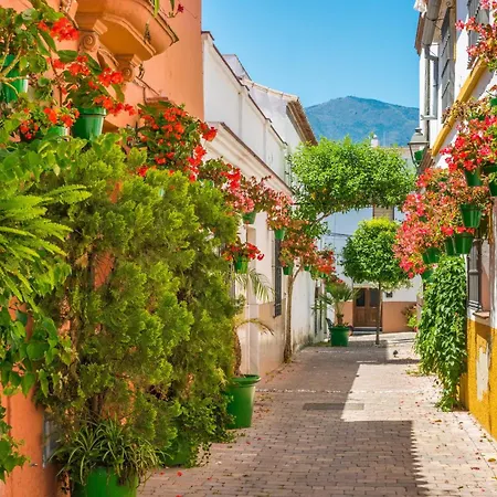 Ayres Boutique - Old Town *